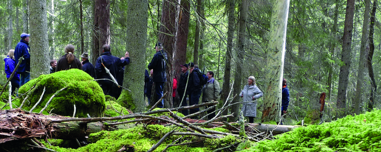 En grupp människor står och samtalar i skogen . Foto: Jerker Bergdahl