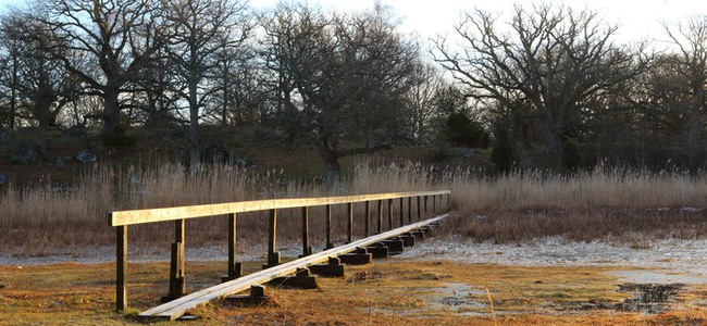 En solbelyst spång vid våtmark. Foto: Ulf Lindroth