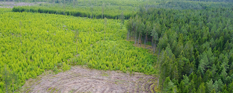 Landskap, bild tagen med drönare. Foto: Anton Holmström