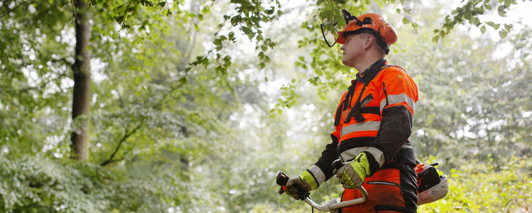 En manlig skogsarbetare, klädd i orange arbetskläder står med röjsågen och ser ut över en lövskog. Foto: Jenny Leyman