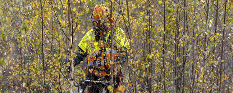 Skogsstyrelsen, skogsskötselåtgärder söder om Matfors, Midälvagården 231003. Magnus Martinsson och Caroline Vågberg. Foto: Marie Birkl. Foto: Marie Birkl