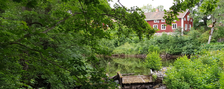 Lummig sommarmiljö från Järle Kvarn med forsande å, grönskande träd och äldre röda hus med vita knutar. Foto: Göran Lundh