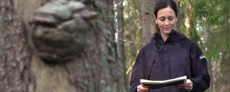 Klipp från film som visar kvinna som tittar i ett papper i skogen. 