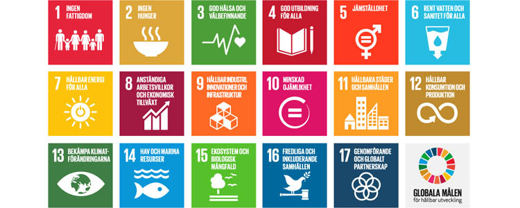 Globala målen för hållbar utveckling. 