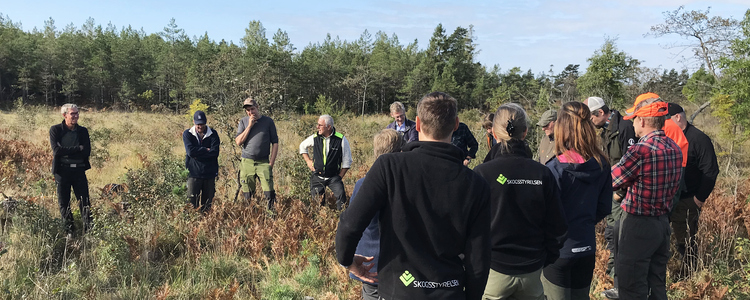 Skogsstyrelsepersonal står och diskuterar betesskador av rådjur, tillsammans med flera andra aktörer och privata skogsägare. Foto: Amanda Overmark