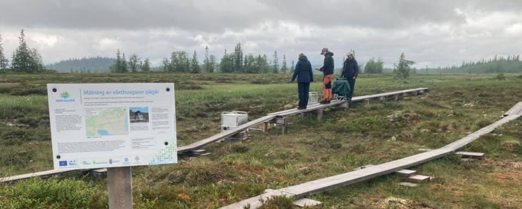 Mätning av växthusgasflöden i Natura 2000-området vid Ånnsjön, Jämtland. Foto: Elin Götzmann