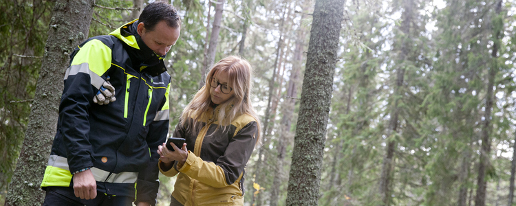 Två personer står i skogen och tittar på mobilen. . Foto: Camilla Zilo