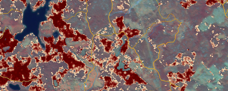 Karta i Skogsstyrelsens kartjänster som visar riskområden för angrepp av granbarkborre