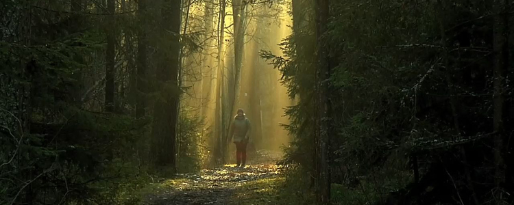 Bild från film om skötsel av skog för upplevelser