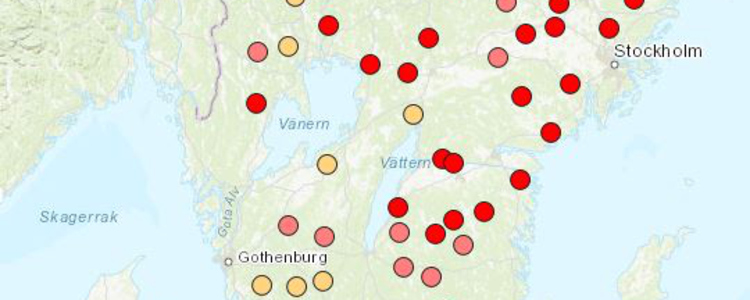karta som visar röda och gula prickar där granbarkborren svärmar