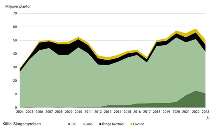 Diagram över antal införda skogsplantor per trädslag år 2024 till år 2023.