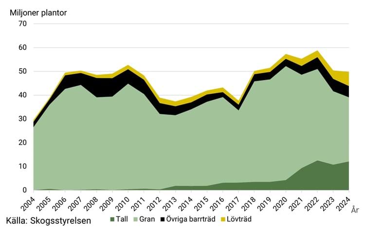 Diagram över antal införda skogsplantor per trädslag år 2024 till år 2024.