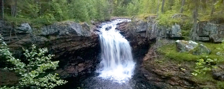 Skogslandskap med vattenfall i Södra Vätterbotten
