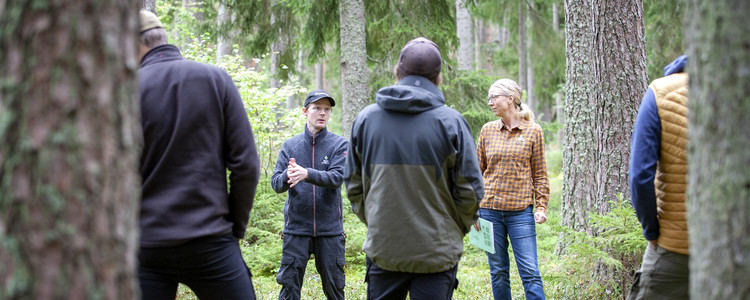 Fältkurs om naturvårdande skötsel utanför Vetlanda, Småland.